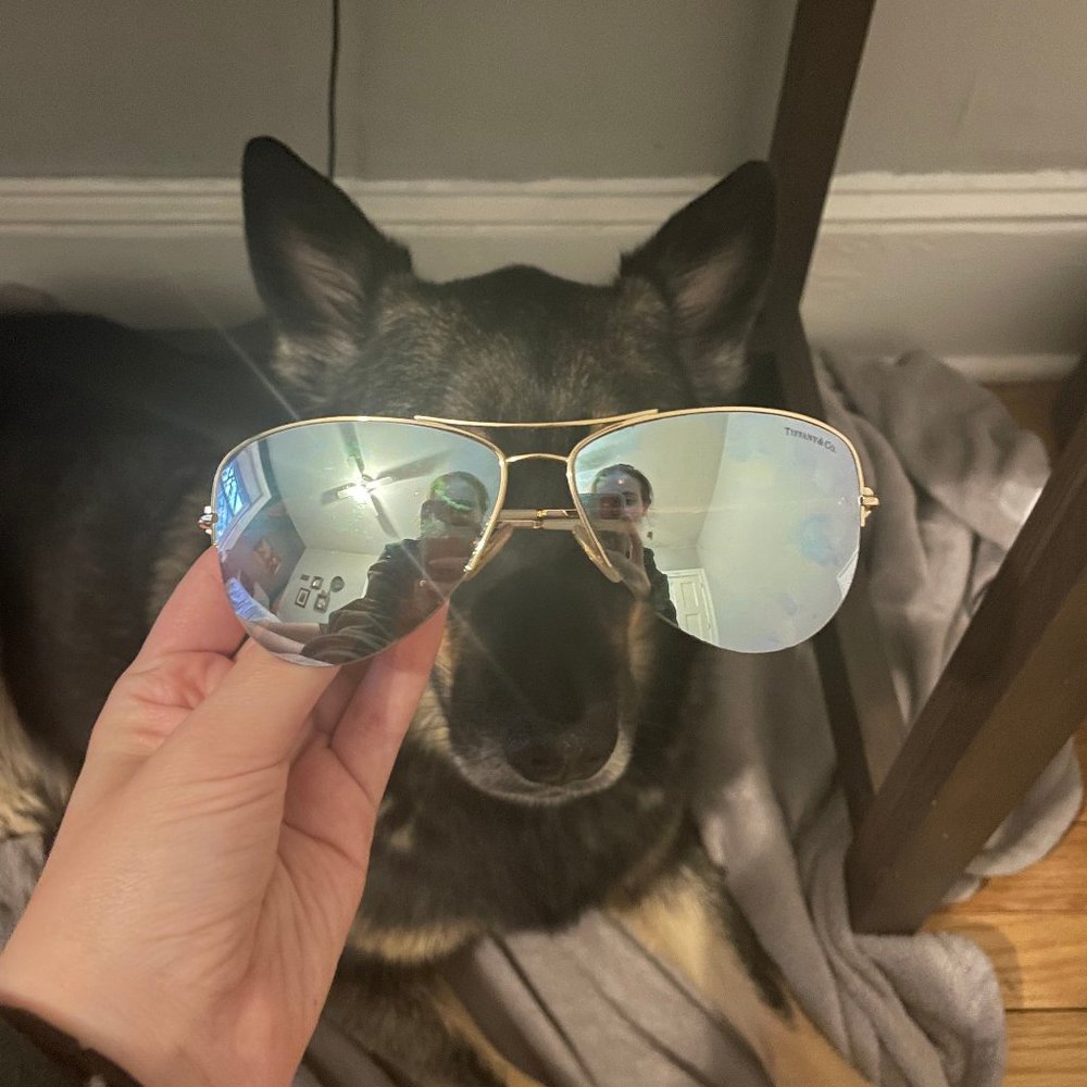 Tiffany& Co. Aviator Sunglasses